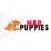 NARPuppies.com
