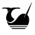 Narwhal Collector