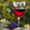 Napa Valley Winery Finder