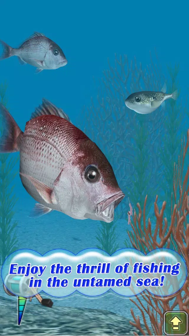 Reel Fishing Pocket 2 : Ocean應用截圖