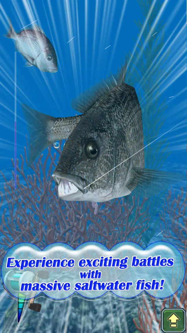 Reel Fishing Pocket 2 : Ocean應用截圖