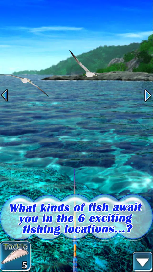 Reel Fishing Pocket 2 : Ocean應用截圖