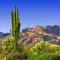 Sabino Canyon Trail Map Offline