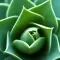Nature relaxing anti stress sounds and music free