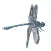 Dragonfly Love