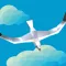 番いを探す鳥