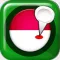 Indonesia Navigation 2016