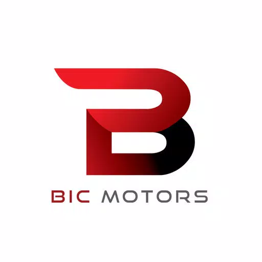 BIC MOTORS BIC MOTORS
