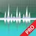 WavePad Professionale 2022