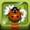 Meet the Insects: Village Edition