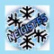 Neigistes - Météo Lorraine