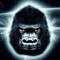 Sapiens The Ape
