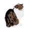Wai Wai Cats