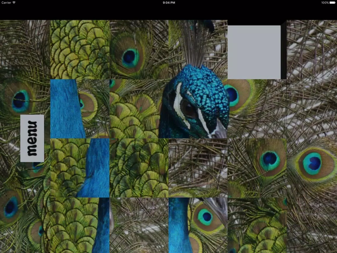 15 Life iPad Screenshots