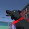 Go Black Dog!
