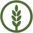 NeoLife Backoffice