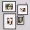 Living Room Photo Morph