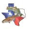 Texas Tides by NOAA