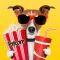 Trailer BOX! 2000 Top Movie Trailers for IMDB fans