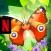 NETFLIX Flutter Butterflies