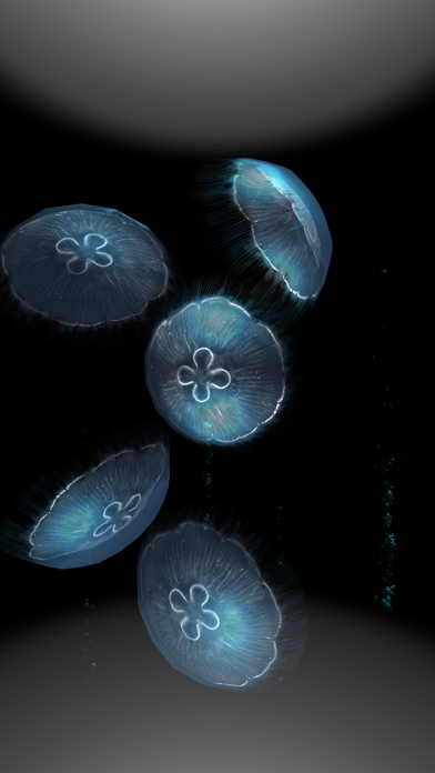 JellyfishGO - Appreciation Screenshots