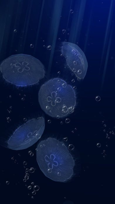 JellyfishGO - Appreciation Screenshots