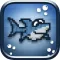 Splashy Disco Shark