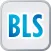 Build Lasting Success (BLS)