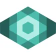 NETx Vision