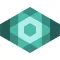 NETx Vision