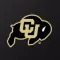 CU Buffs Gameday