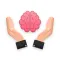 Neurology Examination & Review
