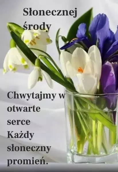 Miłego dnia Codzienne życzenia Screenshots