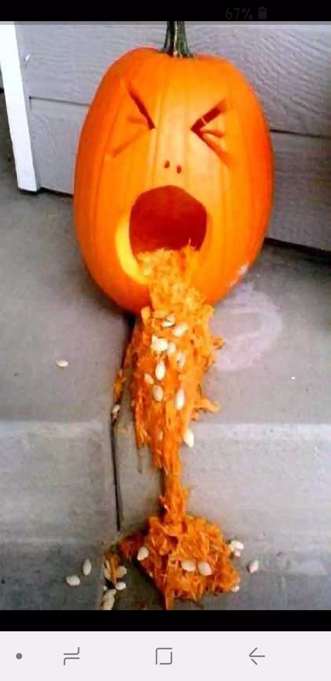 Calabazas de Halloween Screenshots