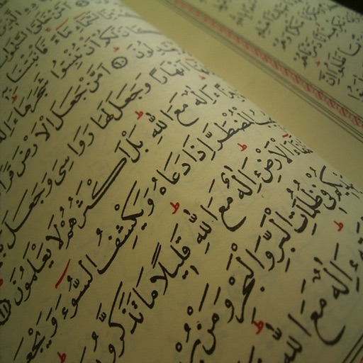 Saad Al Ghamdi Offline Saad Al Ghamdi Offline