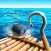OCEAN RAFT (Survival Craft)