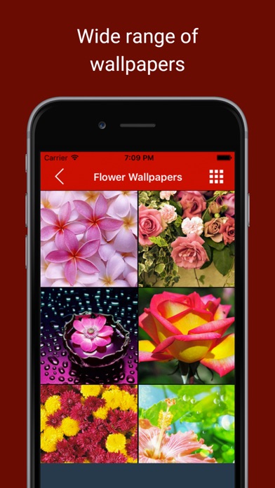 Background Wallpapers: Get pictures & snaps of Love, Romance and heart Screenshots