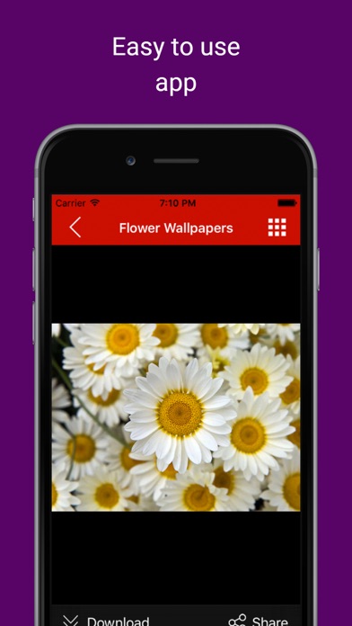Background Wallpapers: Get pictures & snaps of Love, Romance and heart Screenshots