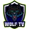 Wolf Tv Player