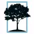 Orchard Church - Fort Oglethorpe, GA
