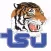 TSU Athletics Career Playbook