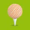 Next Tee Golf Guide