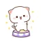 Peach Cat So Cute