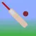 Park Cricket Scorer