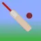 Park Cricket Scorer