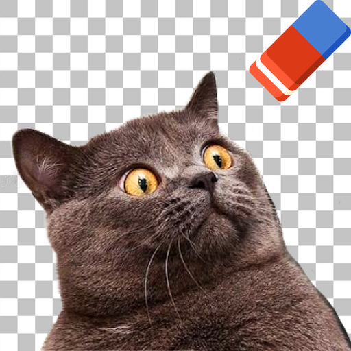 Background PNG maker