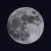 Nighty Night: AI Sleep Tracker