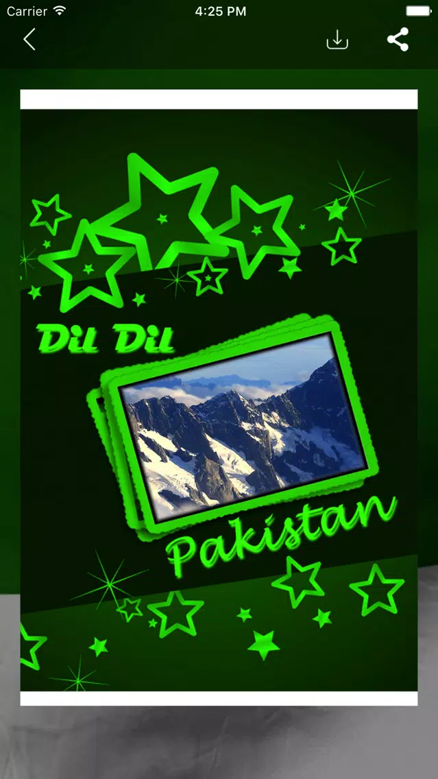 Pakistan Independence Day Photo Frame Screenshots