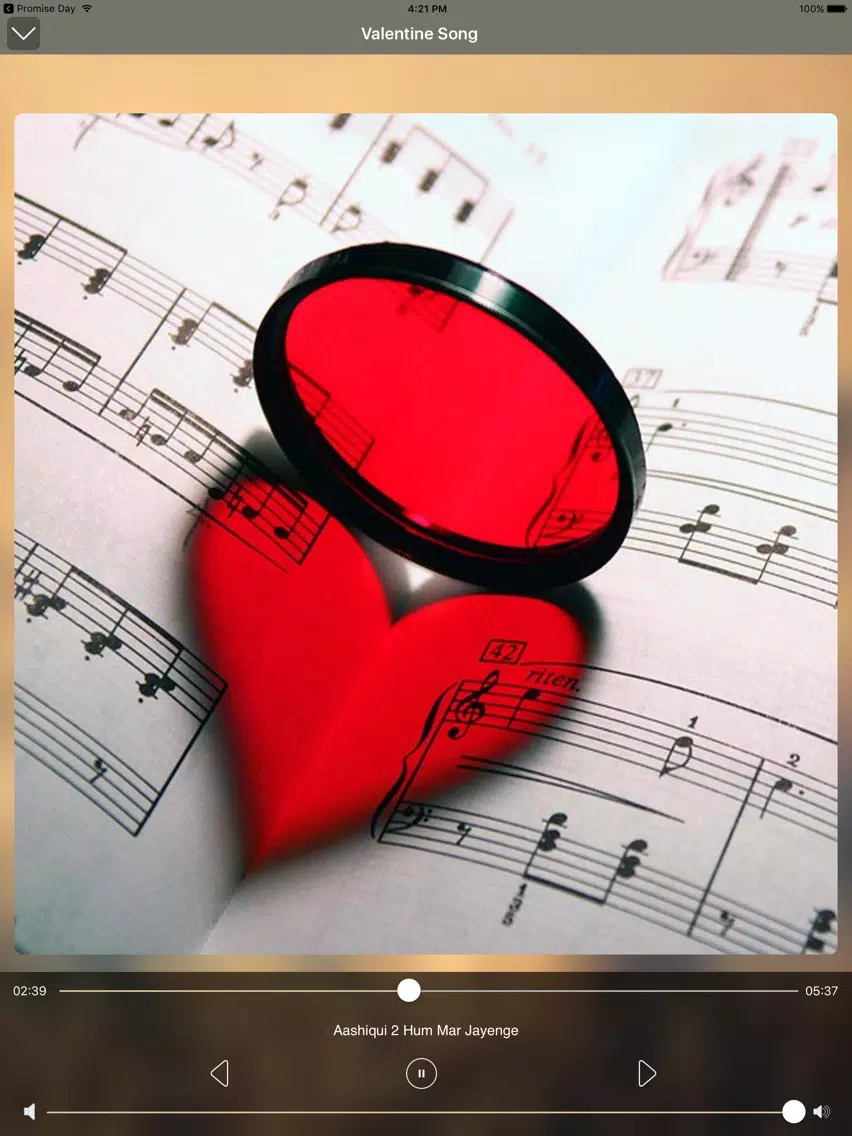 Propose Day 2020 iPad Screenshots