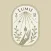 路洣 Lumiè A.M
